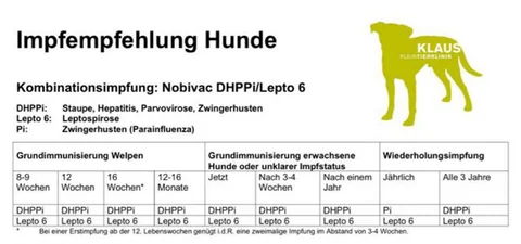 Grafik «Impfempfehlung Hunde» der Klaus Kleintierklinik: Kombinationsimpfung Nobivac DHPPi/Lepto 6 mit Impfschema für Welpen, erwachsene Hunde und Wiederholungsimpfungen (Inhalt siehe Tabelle darüber)