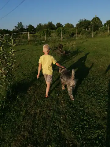 Kind läuft mit einem Hund über die Wiese im Abendlicht