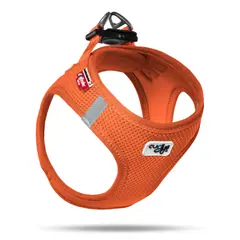 Curli Hundegeschirr orange